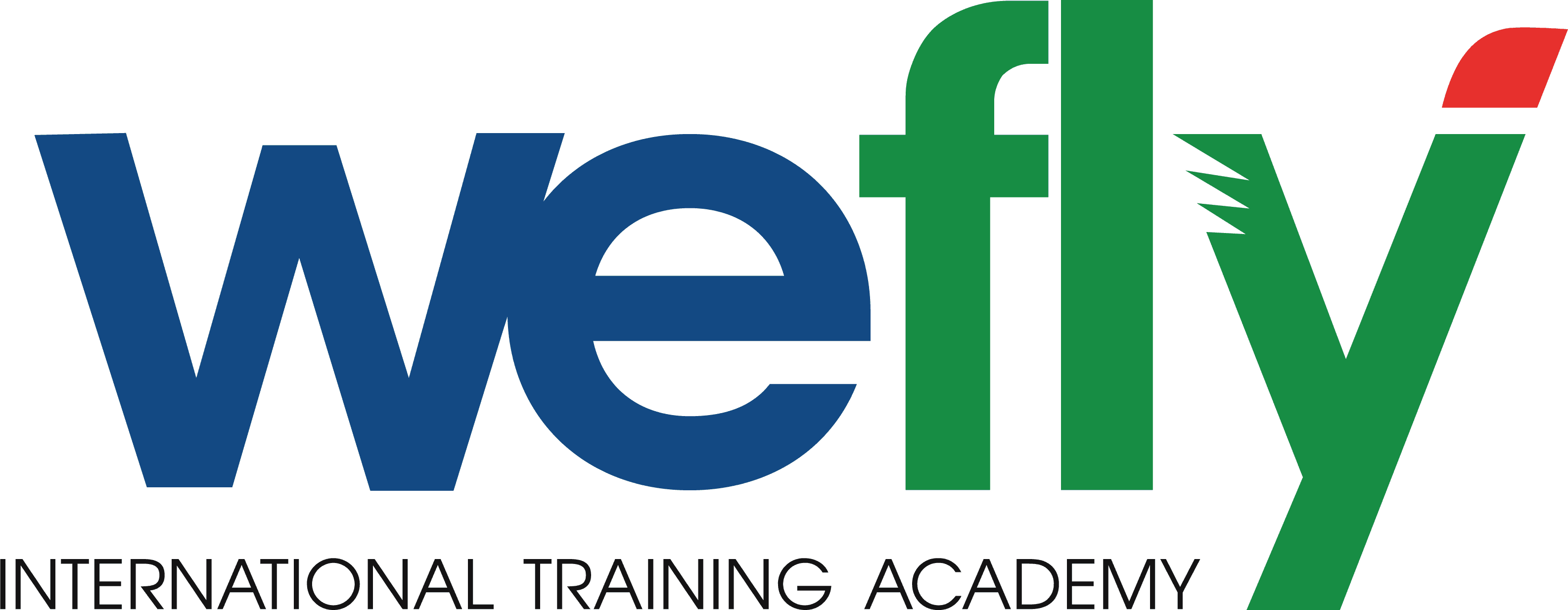 WeFly International Training Academy logo